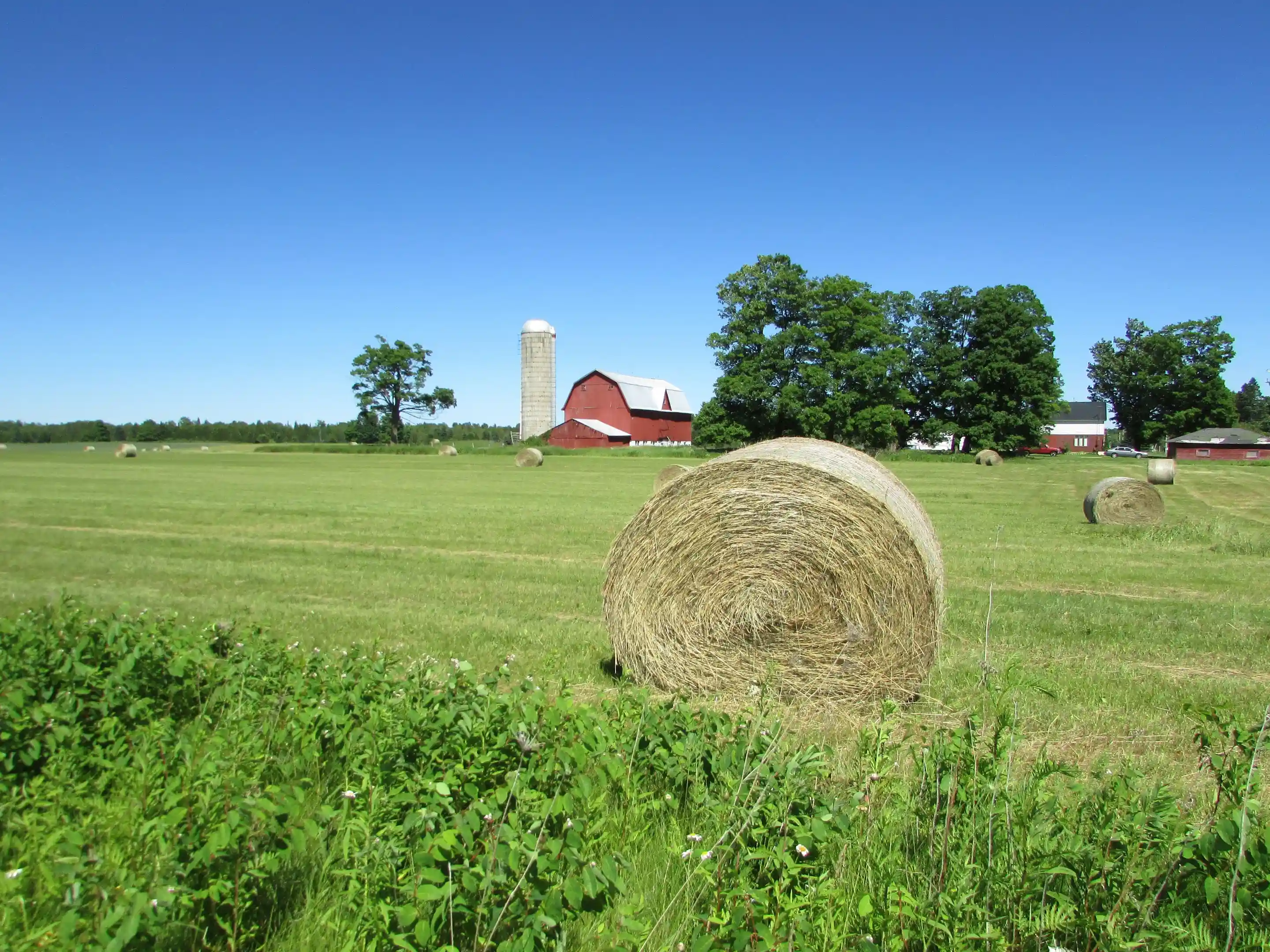 Farm and Agriculture Insurance